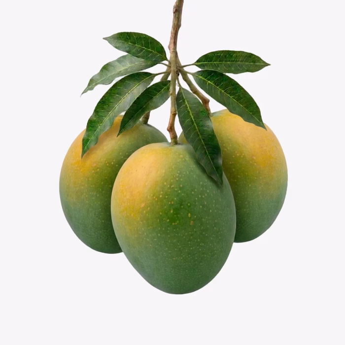 হাঁড়িভাঙা আম 12 KG